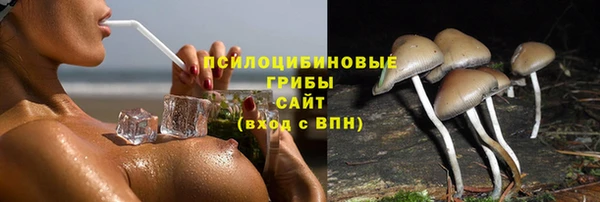 герыч Балахна
