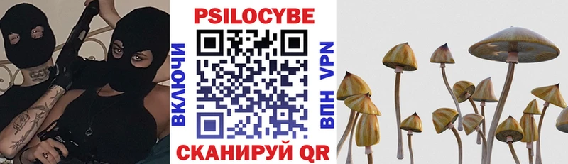 где можно купить   Городовиковск  Галлюциногенные грибы MAGIC MUSHROOMS 