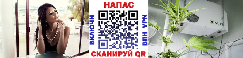 Марихуана ГИДРОПОН дарнет шоп Городовиковск